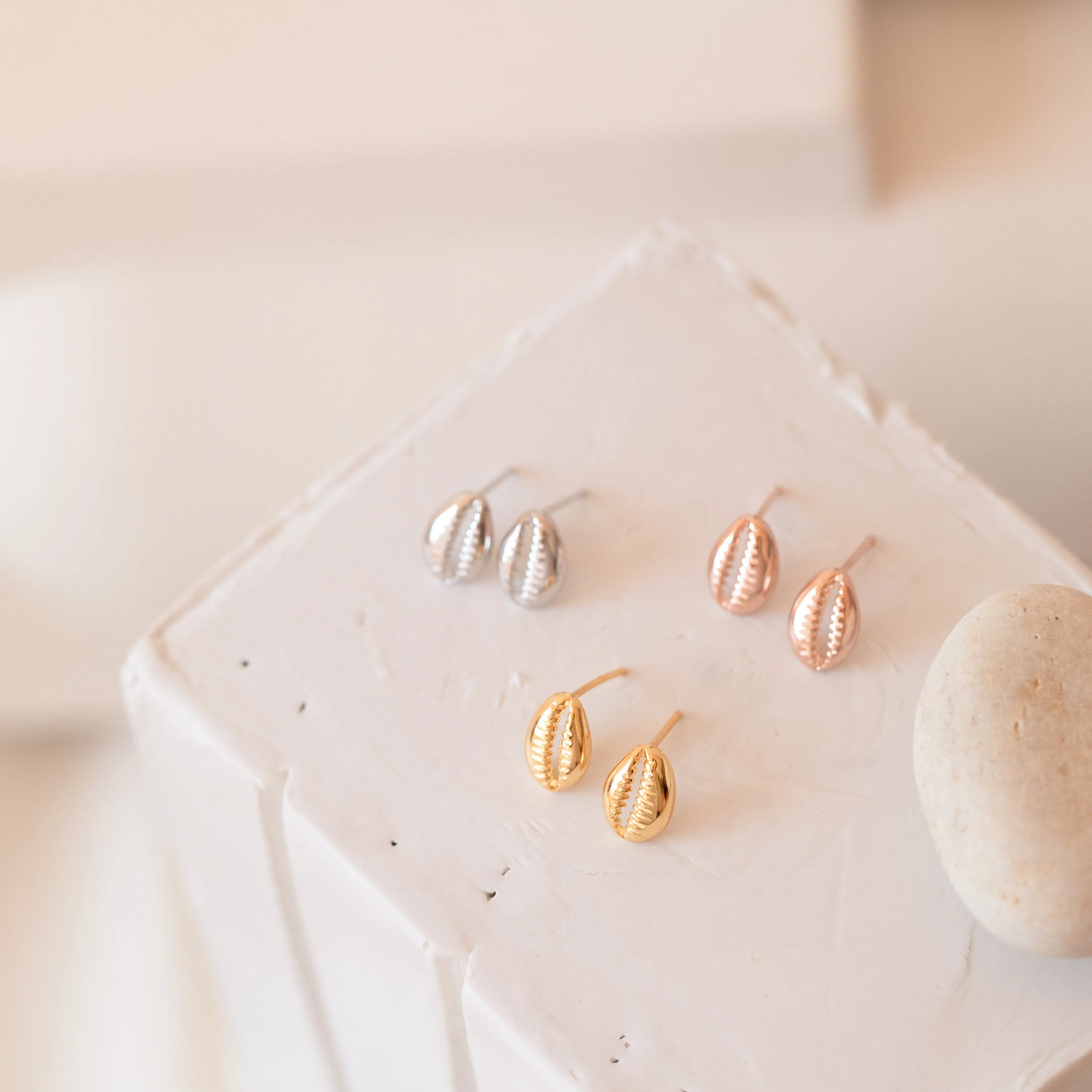 Cowry Shell Studs